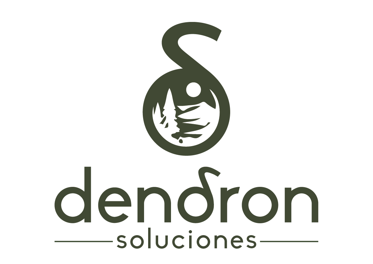DENDRON SOLUCIONES SL
